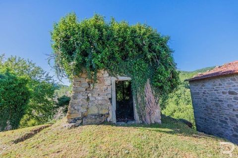 Landejendom i Talla, Arezzo, Talla - € 950.000 | Ref: R05356TARU-1338785 - foto 17