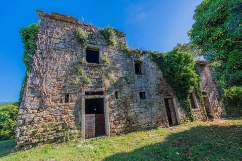 Landejendom i Talla, Arezzo, Talla - € 950.000 | Ref: R05356TARU-1338785 - foto 19