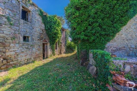 Landejendom i Talla, Arezzo, Talla - € 950.000 | Ref: R05356TARU-1338785 - foto 20
