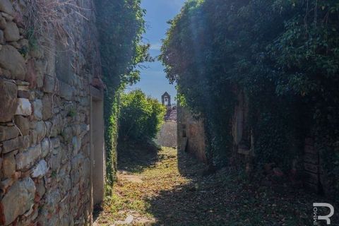 Landejendom i Talla, Arezzo, Talla - € 950.000 | Ref: R05356TARU-1338785 - foto 21