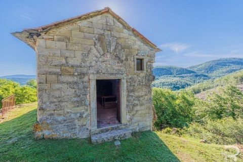Landejendom i Talla, Arezzo, Talla - € 950.000 | Ref: R05356TARU-1338785 - foto 24