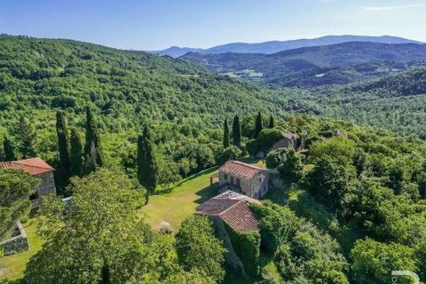 Landejendom i Talla, Arezzo, Talla - € 950.000 | Ref: R05356TARU-1338785 - foto 26