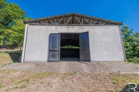 Landejendom i Talla, Arezzo, Talla - € 950.000 | Ref: R05356TARU-1338785 - foto 30
