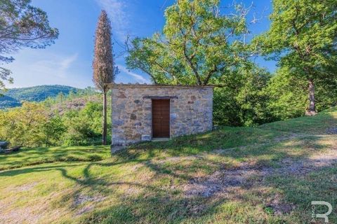 Landejendom i Talla, Arezzo, Talla - € 950.000 | Ref: R05356TARU-1338785 - foto 31
