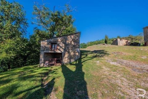 Landejendom i Talla, Arezzo, Talla - € 950.000 | Ref: R05356TARU-1338785 - foto 32