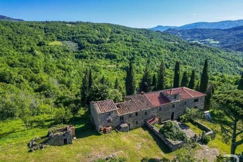Landejendom i Talla, Arezzo, Talla - € 950.000 | Ref: R05356TARU-1338785 - foto 34