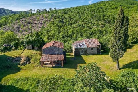 Landejendom i Talla, Arezzo, Talla - € 950.000 | Ref: R05356TARU-1338785 - foto 35