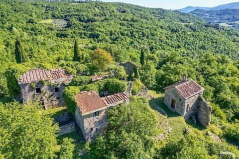 Landejendom i Talla, Arezzo, Talla - € 950.000 | Ref: R05356TARU-1338785 - foto 36