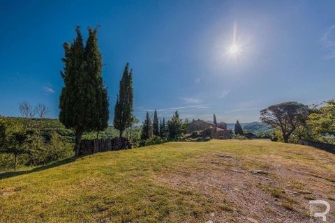 Landejendom i Talla, Arezzo, Talla - € 950.000 | Ref: R05356TARU-1338785 - foto 38