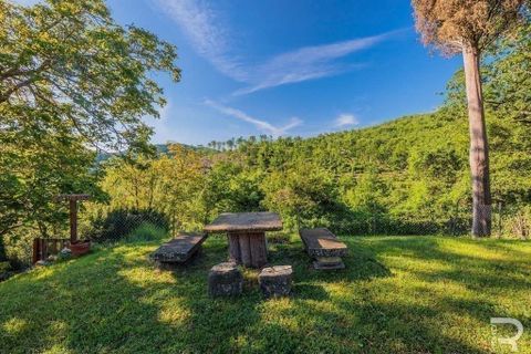 Landejendom i Talla, Arezzo, Talla - € 950.000 | Ref: R05356TARU-1338785 - foto 39