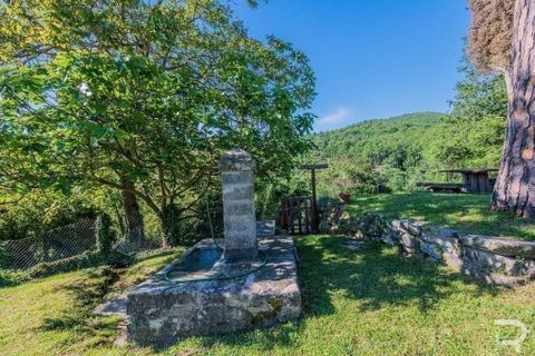 Landejendom i Talla, Arezzo, Talla - € 950.000 | Ref: R05356TARU-1338785 - foto 40