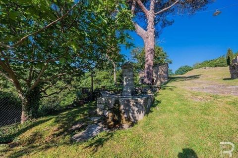 Landejendom i Talla, Arezzo, Talla - € 950.000 | Ref: R05356TARU-1338785 - foto 41