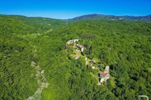 Landejendom i Talla, Arezzo, Talla - € 950.000 | Ref: R05356TARU-1338785 - foto 42