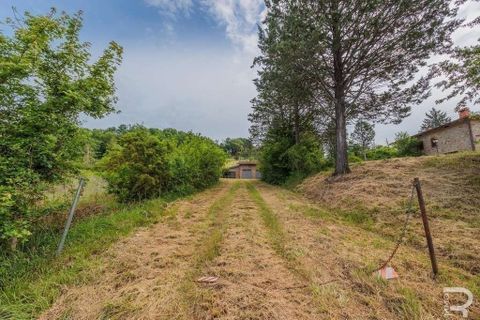 Farm hus i Poppi, Arezzo, Poppi - € 500.000 | Ref: R05347PORU-1339019 - foto 11