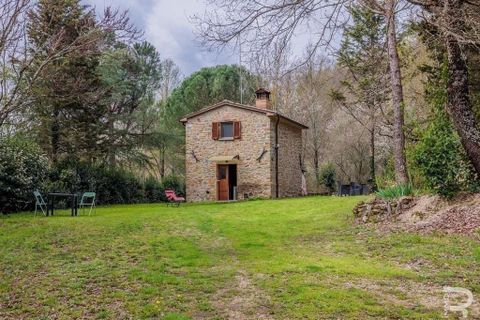 Farm hus i Arezzo, Arezzo, Arezzo - € 600.000 | Ref: R05228ARRU-1339050 - foto 14