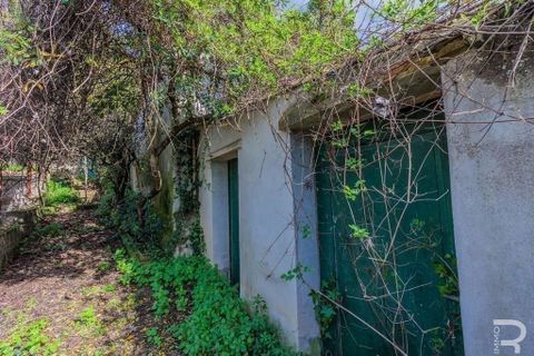 Villa i Cortona, Arezzo, Cortona - € 229.000 | Ref: R05230OSCI-1339140 - foto 11