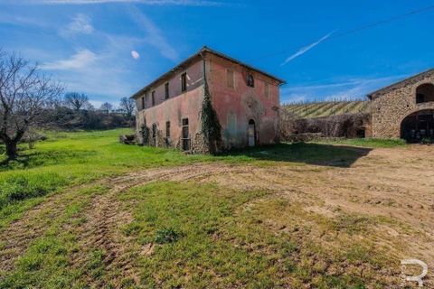 Landejendom i Poggibonsi, Siena, Poggibonsi - € 1.950.000 | Ref: R05170PORU-1339237 - foto 28