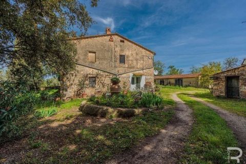 Landejendom i Scansano, Grosseto, Scansano - € 480.000 | Ref: R05238SCRU-1339288 - foto 5