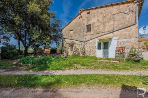 Landejendom i Scansano, Grosseto, Scansano - € 480.000 | Ref: R05238SCRU-1339288 - foto 6