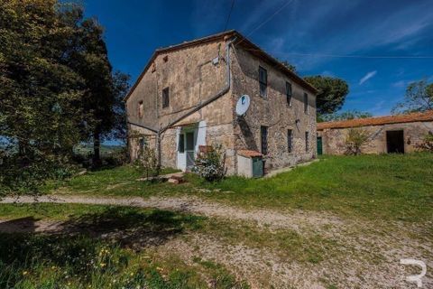 Landejendom i Scansano, Grosseto, Scansano - € 480.000 | Ref: R05238SCRU-1339288 - foto 7