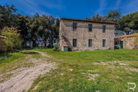Landejendom i Scansano, Grosseto, Scansano - € 480.000 | Ref: R05238SCRU-1339288 - foto 8