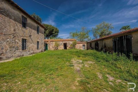 Landejendom i Scansano, Grosseto, Scansano - € 480.000 | Ref: R05238SCRU-1339288 - foto 9