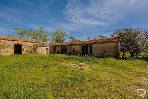 Landejendom i Scansano, Grosseto, Scansano - € 480.000 | Ref: R05238SCRU-1339288 - foto 10