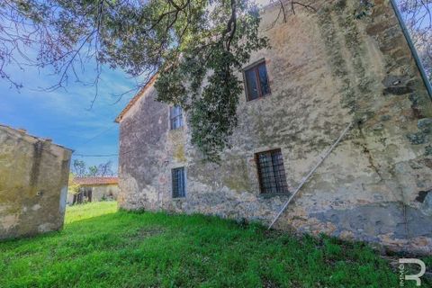 Landejendom i Scansano, Grosseto, Scansano - € 480.000 | Ref: R05238SCRU-1339288 - foto 11