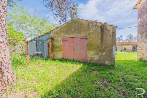 Landejendom i Scansano, Grosseto, Scansano - € 480.000 | Ref: R05238SCRU-1339288 - foto 12