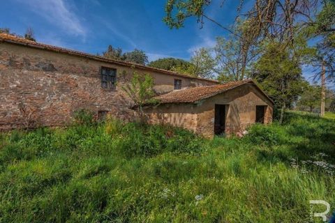 Landejendom i Scansano, Grosseto, Scansano - € 480.000 | Ref: R05238SCRU-1339288 - foto 13