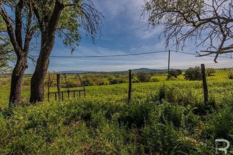 Landejendom i Scansano, Grosseto, Scansano - € 480.000 | Ref: R05238SCRU-1339288 - foto 15