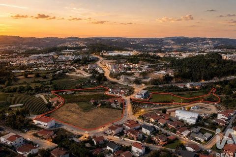 Farm i Lousada, Porto, Lousada - € 2.800.000 | Ref: 760186 - foto 2