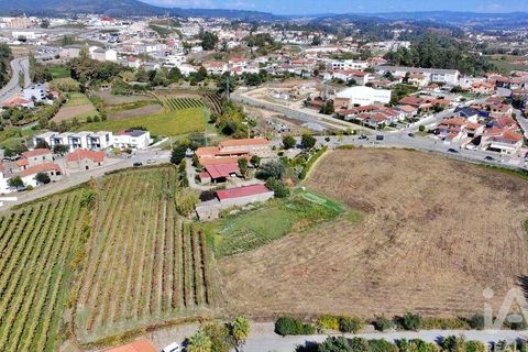 Farm i Lousada, Porto, Lousada - € 2.800.000 | Ref: 760186 - foto 8