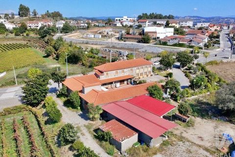 Farm i Lousada, Porto, Lousada - € 2.800.000 | Ref: 760186 - foto 10