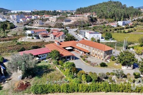 Farm i Lousada, Porto, Lousada - € 2.800.000 | Ref: 760186 - foto 12