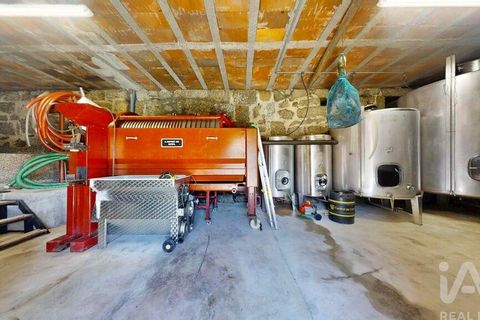 Farm i Lousada, Porto, Lousada - € 2.800.000 | Ref: 760186 - foto 38