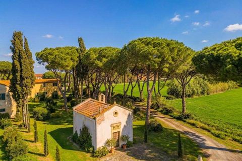 Masia a Grosseto, Grosseto, Grosseto - € 1.200.000 | Ref: R05218RORU-1339901 - foto 4