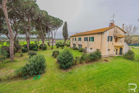 Masia a Grosseto, Grosseto, Grosseto - € 1.200.000 | Ref: R05218RORU-1339901 - foto 15
