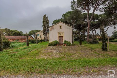 Masia a Grosseto, Grosseto, Grosseto - € 1.200.000 | Ref: R05218RORU-1339901 - foto 16