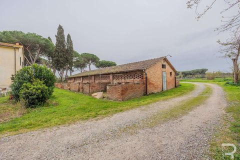 Masia a Grosseto, Grosseto, Grosseto - € 1.200.000 | Ref: R05218RORU-1339901 - foto 18