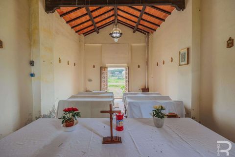 Masia a Grosseto, Grosseto, Grosseto - € 1.200.000 | Ref: R05218RORU-1339901 - foto 35