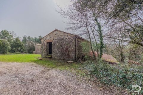 Farm hus i Roccastrada, Grosseto, Roccastrada - € 260.000 | Ref: R05216RORU-1339991 - foto 14