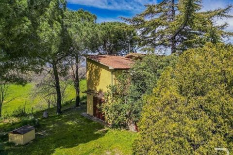 Farm hus i Grosseto, Grosseto, Grosseto - € 600.000 | Ref: R05205GRRU-1340126 - foto 7