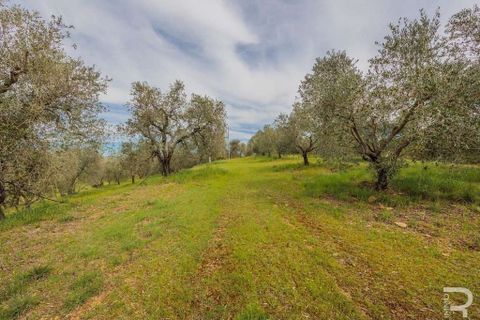 Farm hus i Grosseto, Grosseto, Grosseto - € 600.000 | Ref: R05205GRRU-1340126 - foto 12