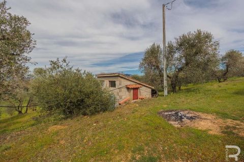 Farm hus i Grosseto, Grosseto, Grosseto - € 600.000 | Ref: R05205GRRU-1340126 - foto 13