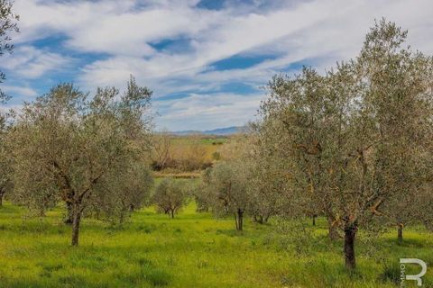 Farm hus i Grosseto, Grosseto, Grosseto - € 600.000 | Ref: R05205GRRU-1340126 - foto 14