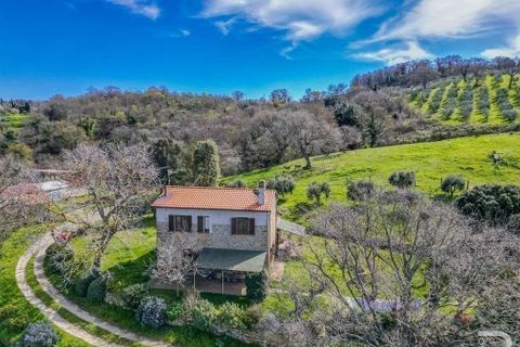 Farm hus i Scansano, Grosseto, Scansano - € 790.000 | Ref: R05204SCRU-1340155 - foto 12