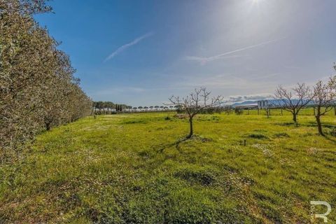 Villa i Grosseto, Grosseto, Grosseto - € 950.000 | Ref: R05176GRVI-1340247 - foto 20
