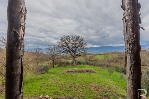 Farm hus i Vicchio, Florence, Vicchio - € 550.000 | Ref: R05143VIRU-1340639 - foto 12