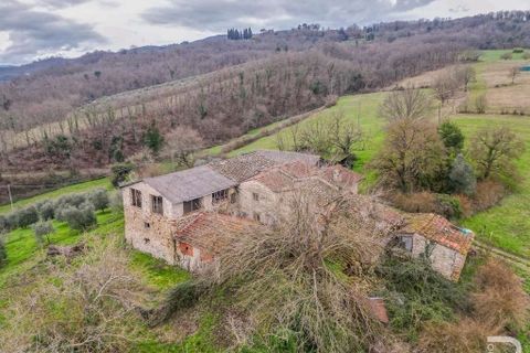 Farm hus i Vicchio, Florence, Vicchio - € 550.000 | Ref: R05143VIRU-1340639 - foto 13